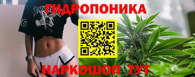 стафф Заводоуковск
