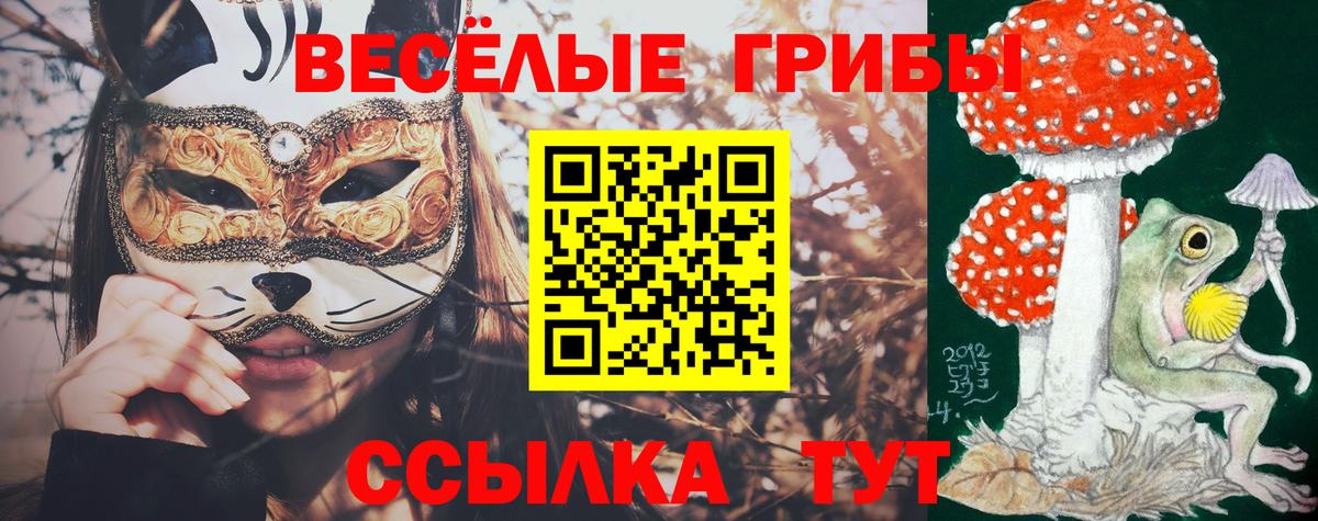 Псилоцибиновые грибы Magic Shrooms Ейск