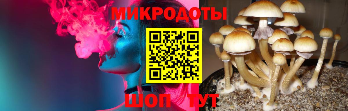 купить наркоту  Псилоцибиновые грибы Psilocybine cubensis  Вход с VPN  Ейск  Псилоцибиновые грибы Cubensis 
